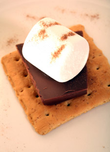 cocktail party food 3 - smores
